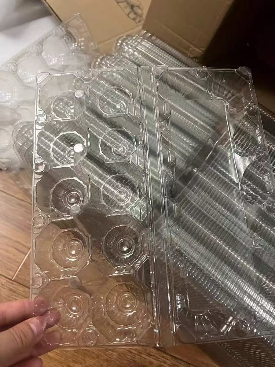 Clear Egg Cartons Bulk factory